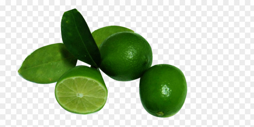 Lemon Aa Lemon-lime Drink Persian Lime PNG