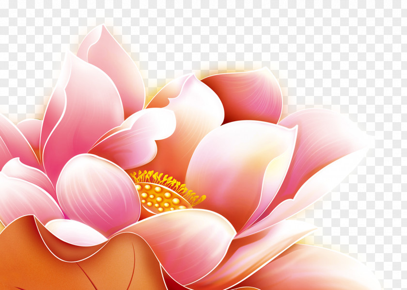 Lotus Pattern China Chinese New Year PNG