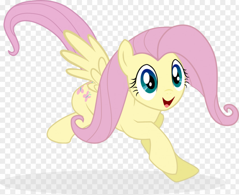 My Little Pony Fluttershy Rainbow Dash PNG