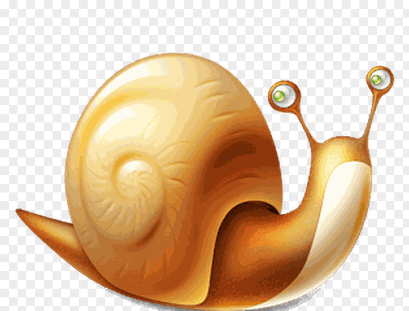 Snail Slow PNG