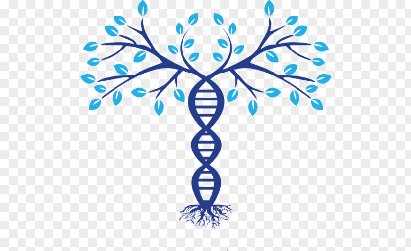 Symbol Family Tree DNA Genealogy Phylogenetic PNG