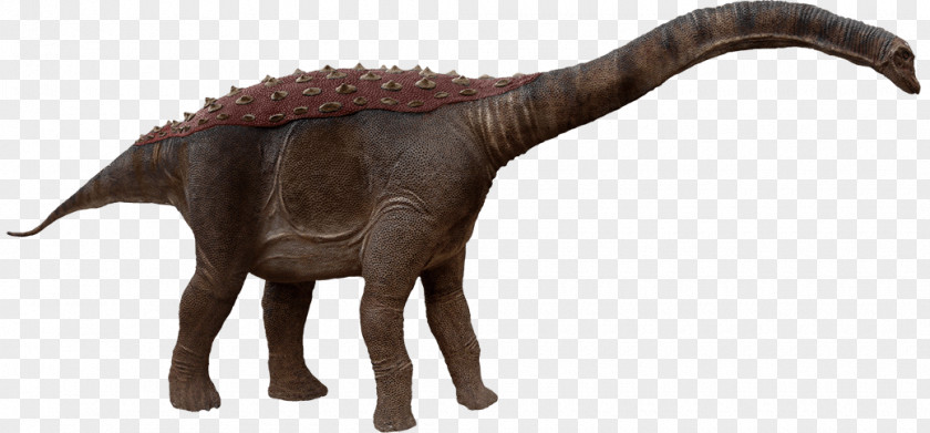 Dinosaur Saltasaurus Late Cretaceous Sauropoda Titanosaur PNG