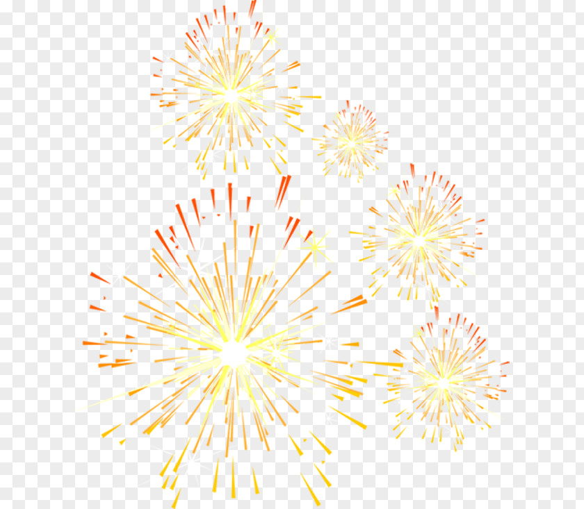 Festival Fireworks Petal Yellow Pattern PNG