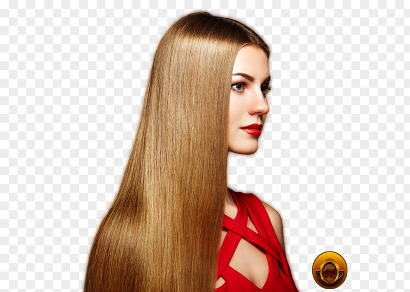 Hair Hairstyle Capelli Artificial Integrations Fashion PNG