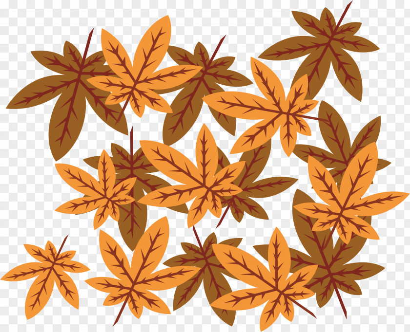 Maple Leaf Pattern PNG