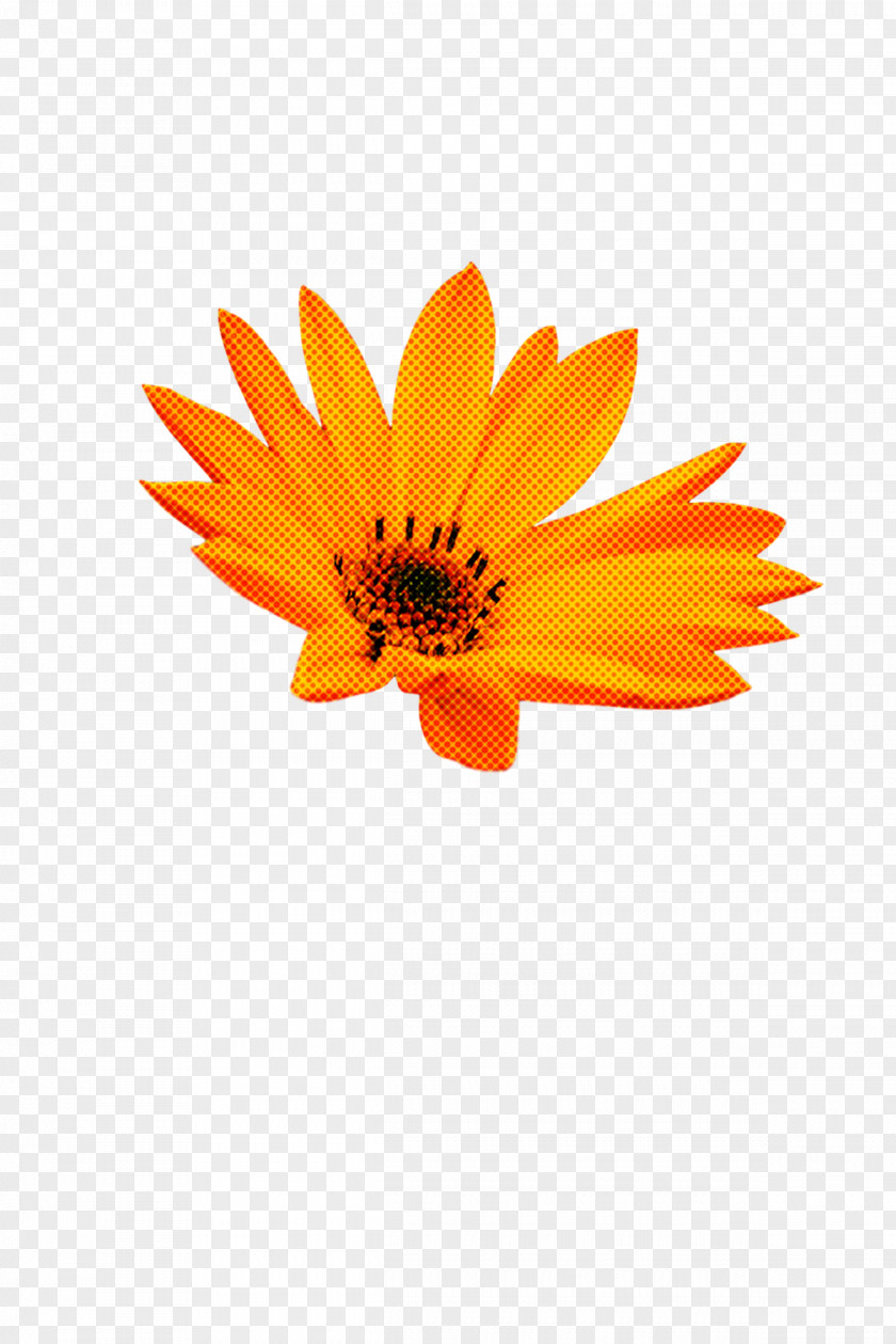 Sunflower PNG