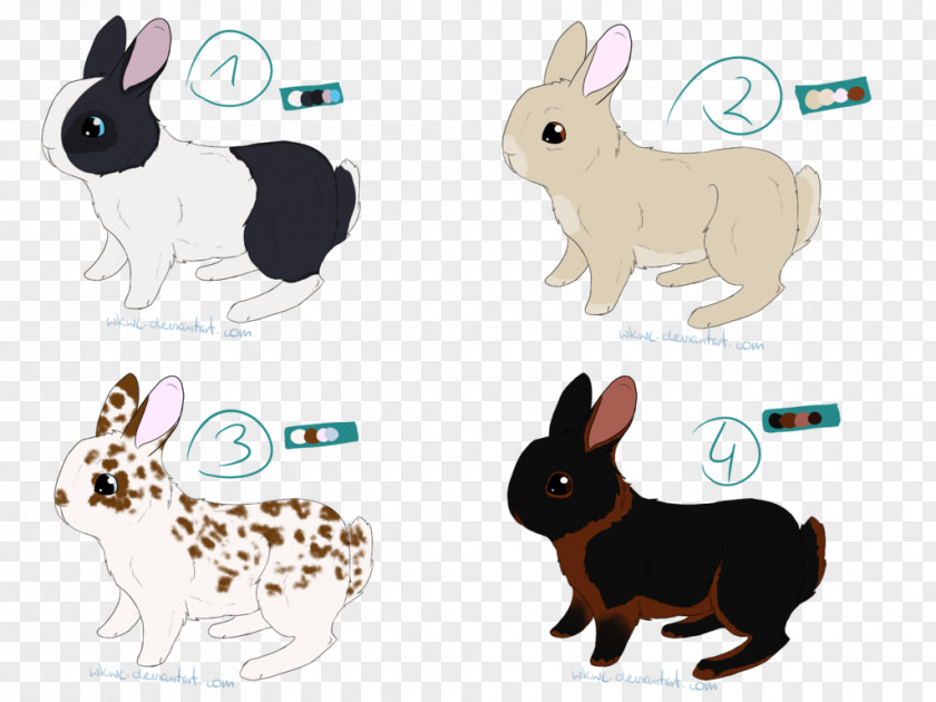 20 Points Domestic Rabbit Dog Hare Animal PNG