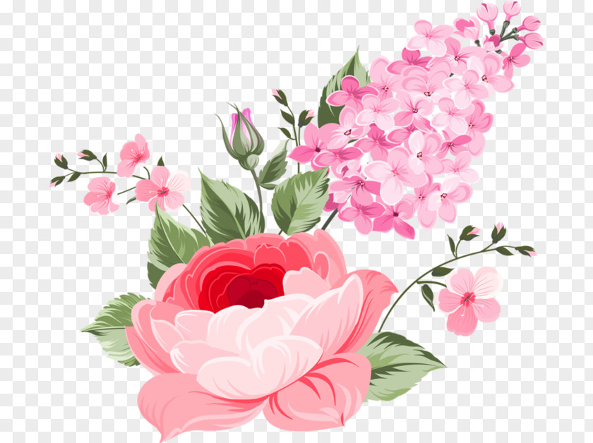 Camellia Magnolia Bouquet Of Flowers Drawing PNG