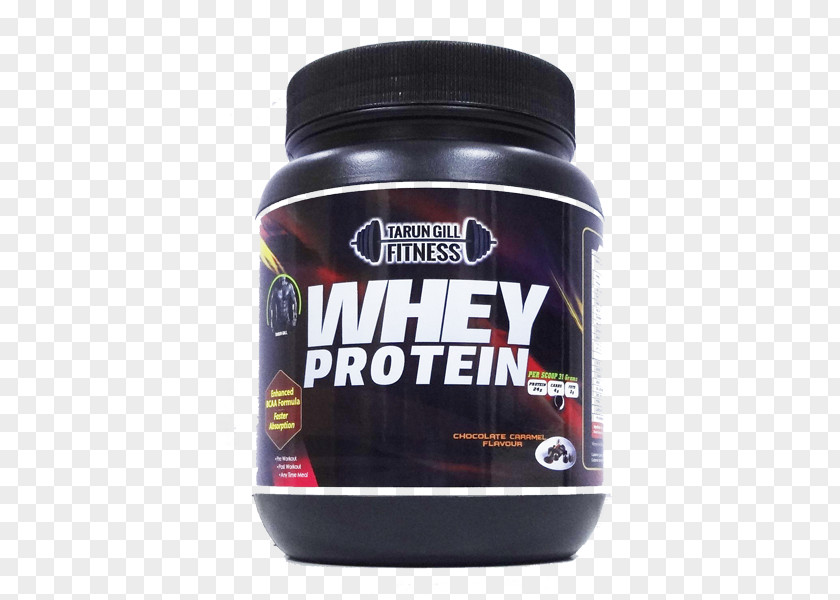 Chocolate Lab Dietary Supplement Whey Protein Isolate PNG