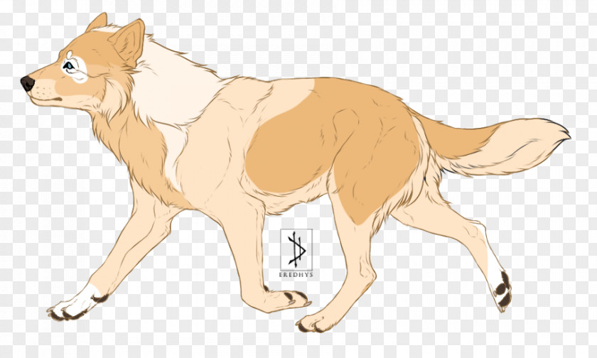 Dog Breed Lion Cat Red Fox PNG