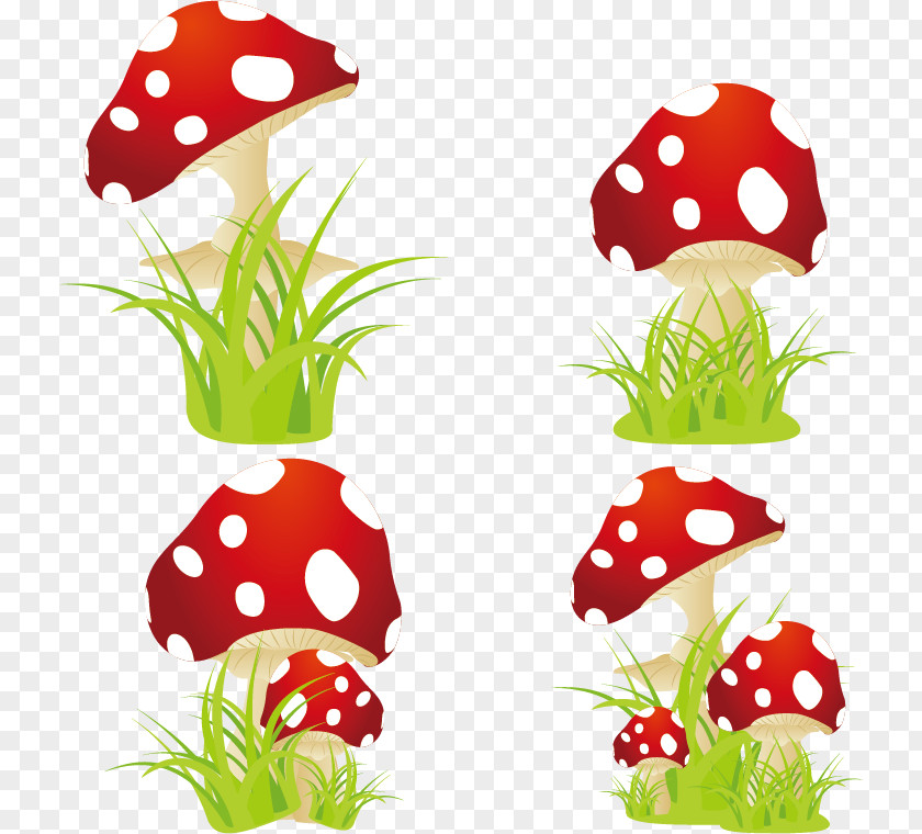 Vector Mushrooms Amanita Muscaria Edible Mushroom PNG