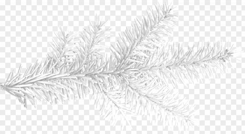Winter Elements Icicle Animation PNG