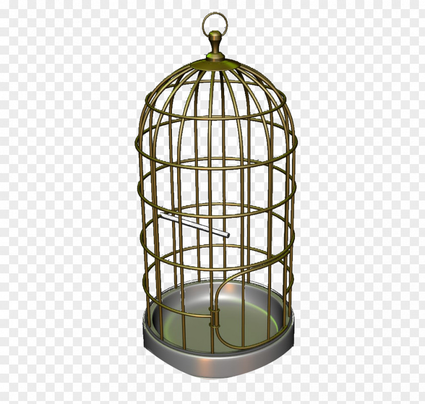Bird Iron Cage PNG