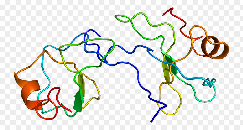 CCL3L1 CC Chemokine Receptors Macrophage Inflammatory Protein PNG