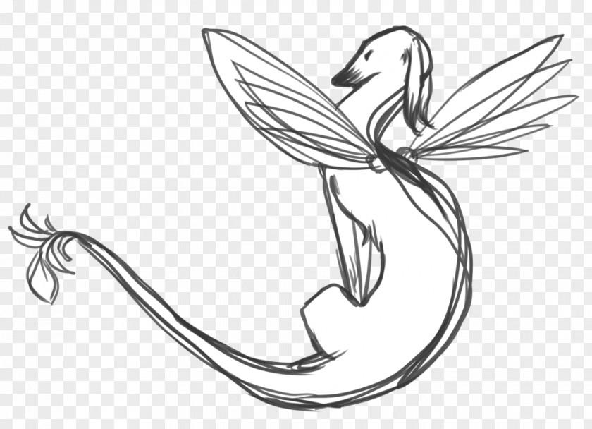 Hummingbird Drawing Sketches Sketch Fairy Image PNG