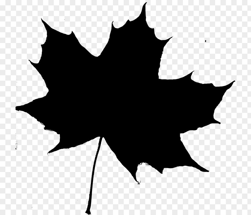 Maple Leaf Applied Arts Design PNG