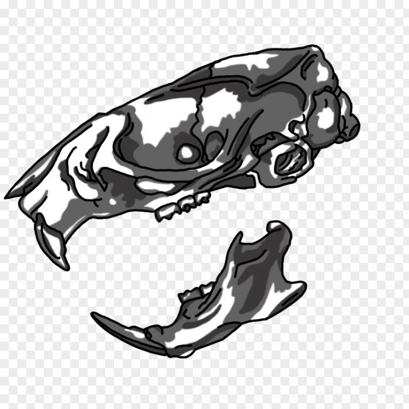 Rat Laboratory Skull Drawing PNG