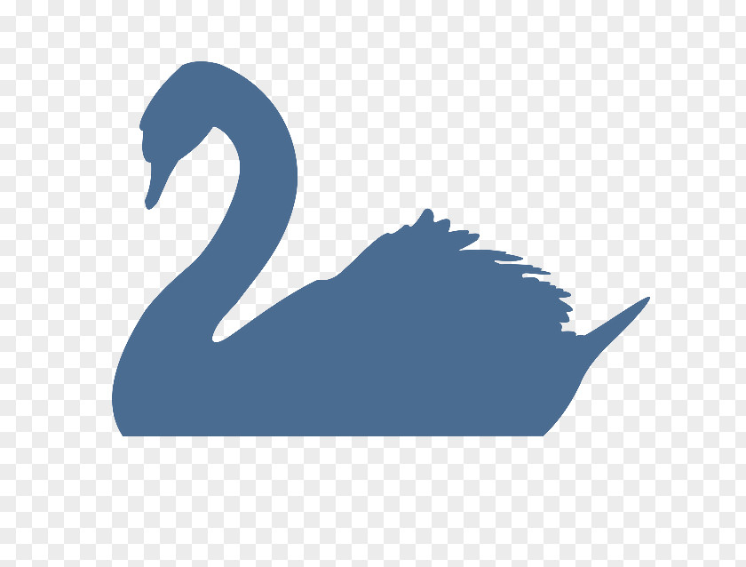 Cosmetic Treatment The Black Swan: Impact Of Highly Improbable Swan Theory Bird Silhouette PNG