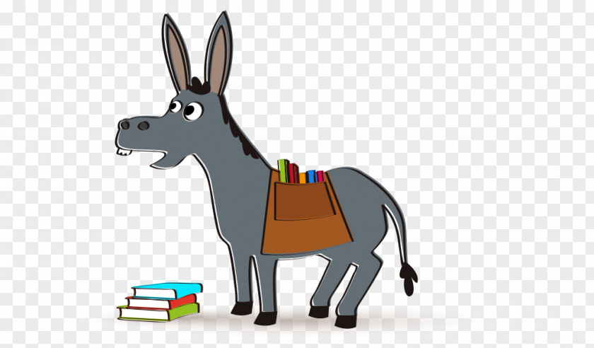 Donkey Horse Child Library Centro De Saúde Os Mallos PNG