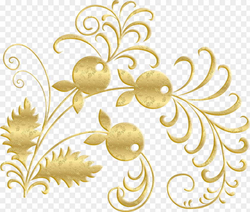 Gold Lace Ornament Photography Clip Art PNG
