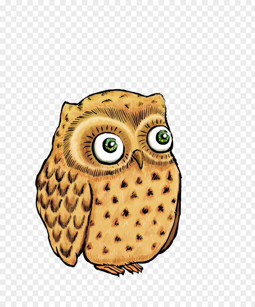 Owl Stock.xchng T-shirt Illustration Clothing PNG