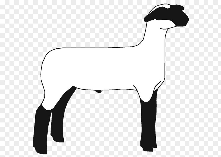 Sheep Breeders Suffolk Hampshire Clip Art Boer Goat Openclipart PNG