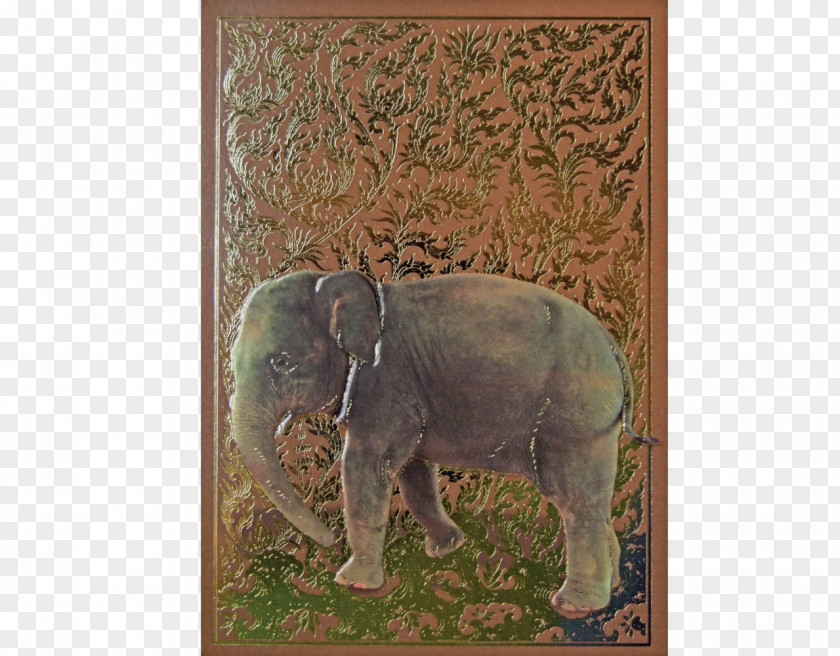 Special Birthday Card Indian Elephant African Wildlife Fauna Curtiss C-46 Commando PNG