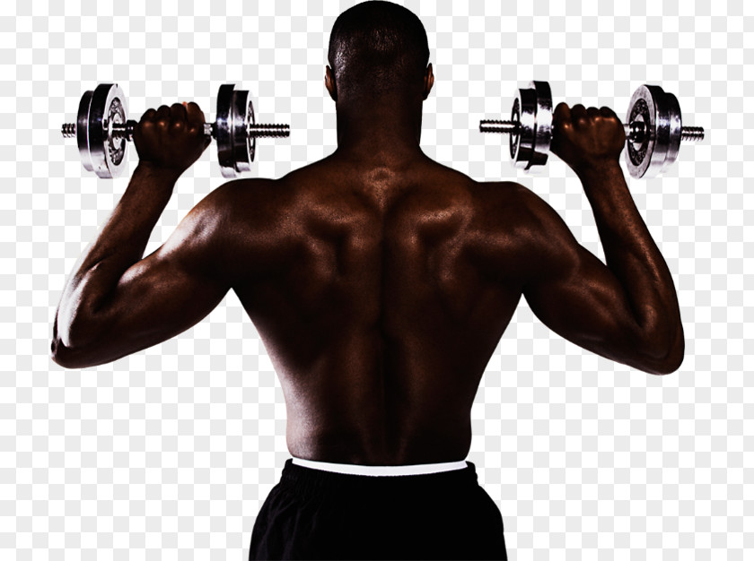 Work Out Muscle Dumbbell Bodybuilding Physical Exercise PNG