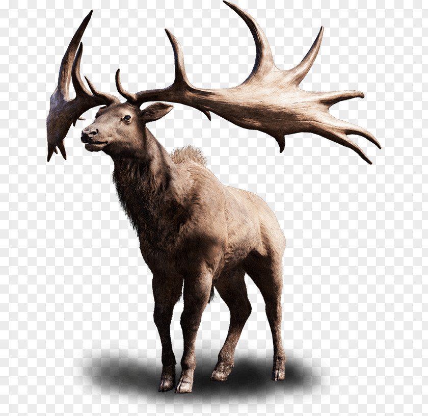 Animal Hair Far Cry Primal Irish Elk 4 PlayStation PNG