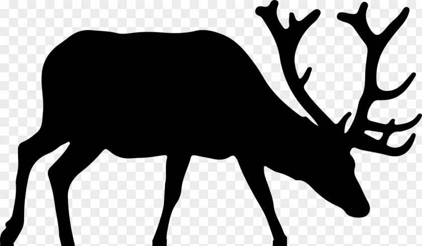 Deer Elk Moose Clip Art PNG