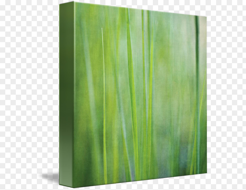 Gazon Gallery Wrap Modern Art Canvas Lawn PNG