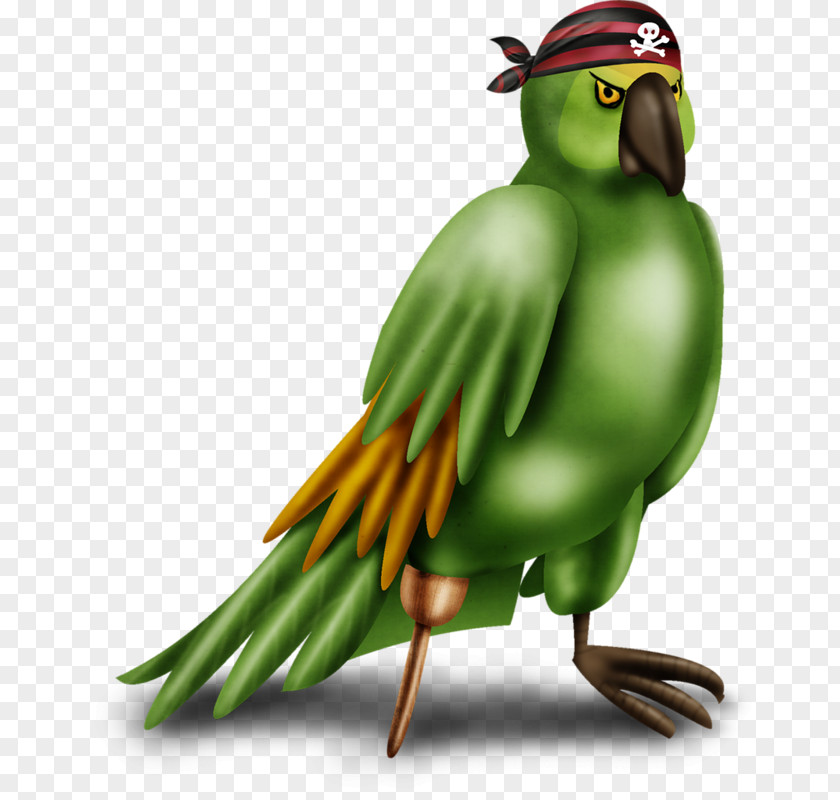 Green Birds Bird Parakeet Macaw Cartoon PNG
