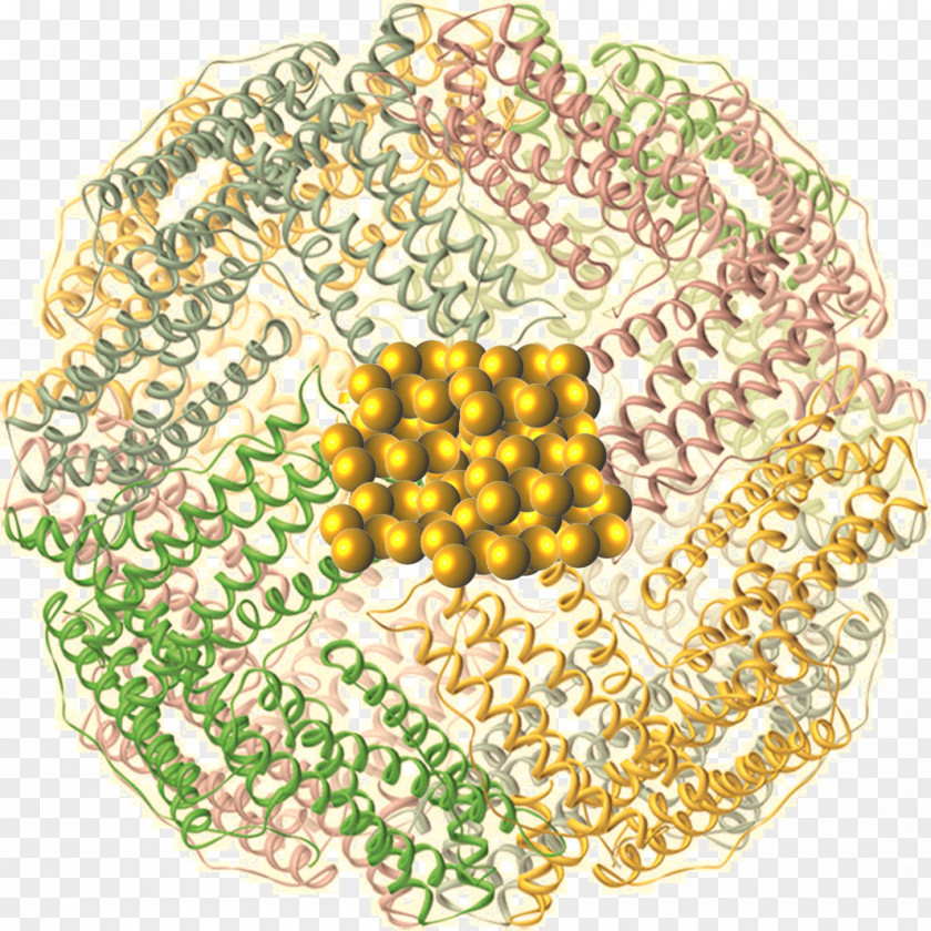 Molecular Virology Material PNG