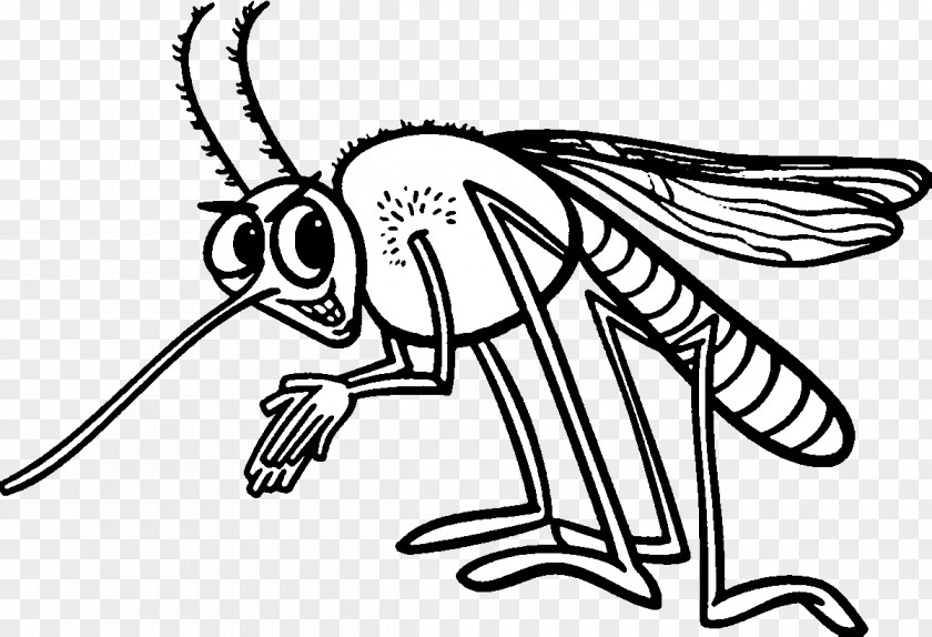Mosquito Insect Coloring Book Clip Art PNG