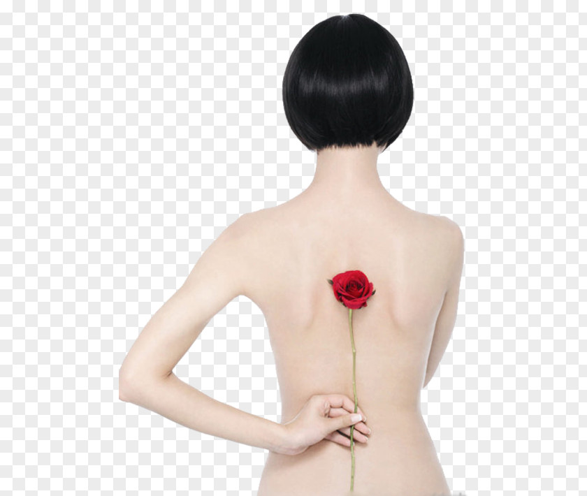 The United States Back Flowers Hand Woman Beach Rose Avatar PNG
