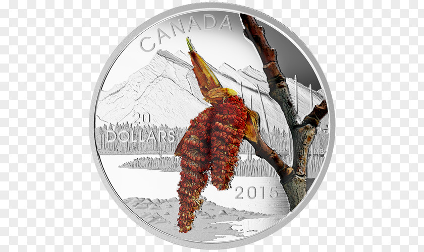 Canada Silver Coin Gold PNG