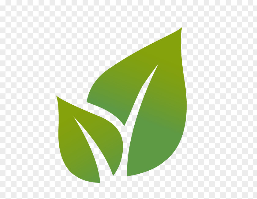 Environmental Icon Leaf Royalty-free PNG