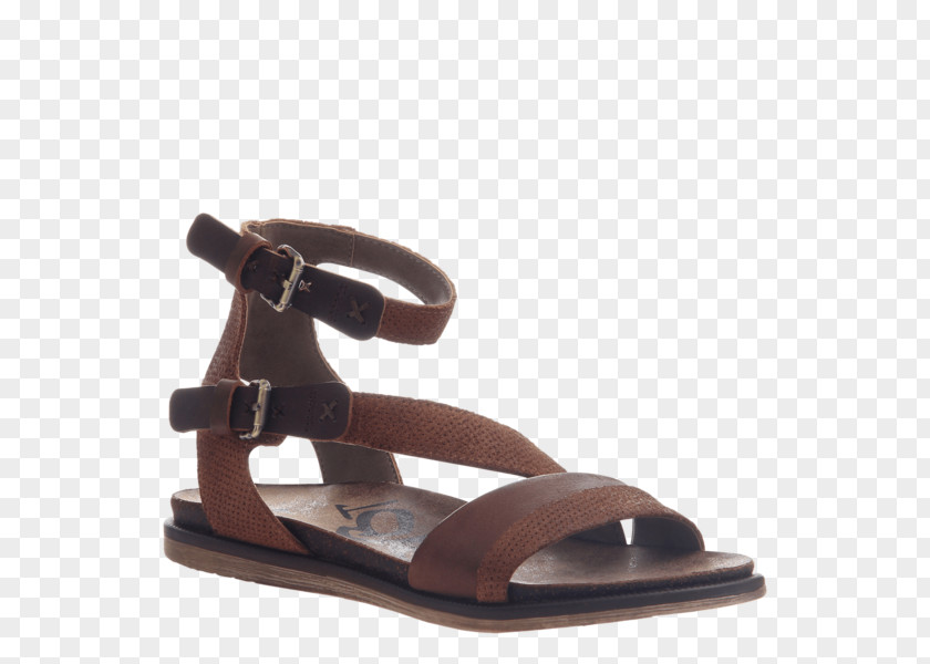 Flat Footwear Shoe Sandal Strap Slide Wedge PNG