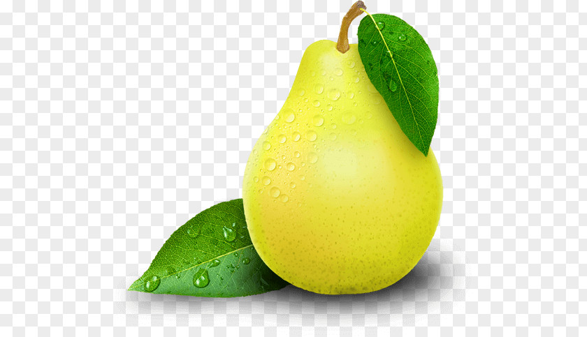 Pear Lemon-lime Drink Key Lime PNG
