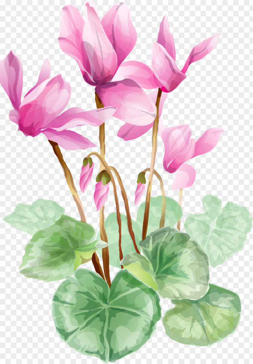 Water Lilies Flower Clip Art PNG