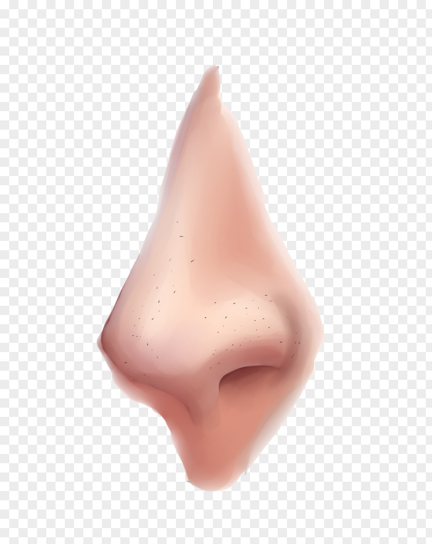 Nose Clipart PNG