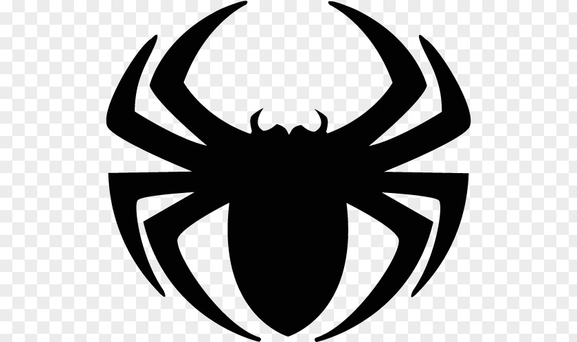 Spider PNG clipart PNG