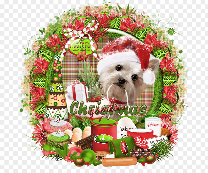 Puppy Dog Breed Shih Tzu Companion Christmas Ornament PNG