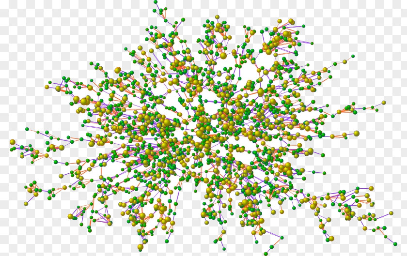 Scalefree Network Graph Database Neo4j Directed Degree PNG