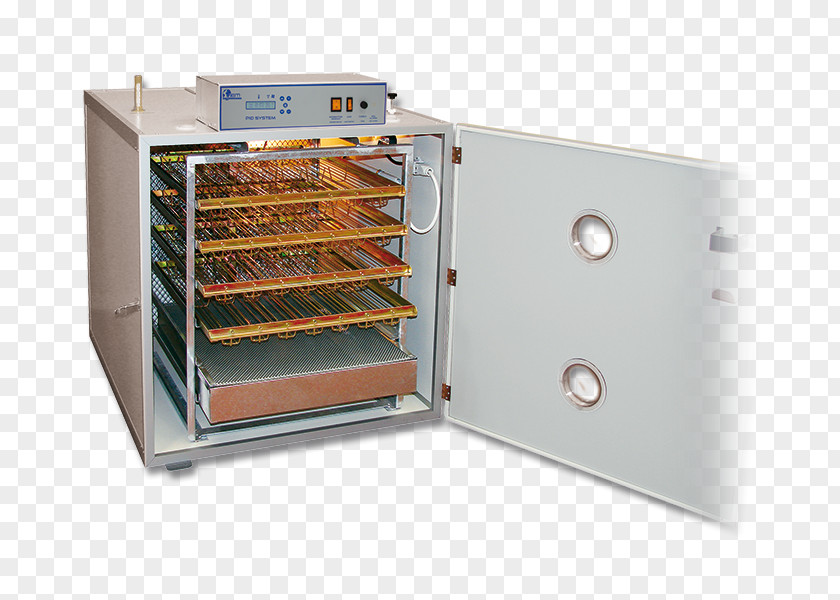 Chicken Incubator Couveuse Egg Quail PNG