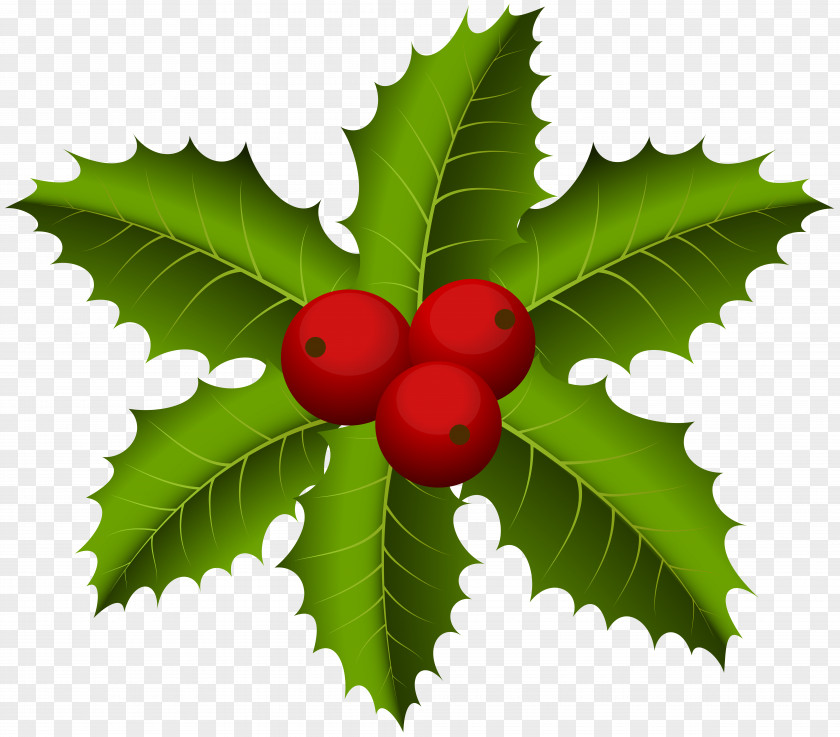 Christmas Mistletoe Clip Art Eve Holiday Nativity Of Jesus Tradition PNG