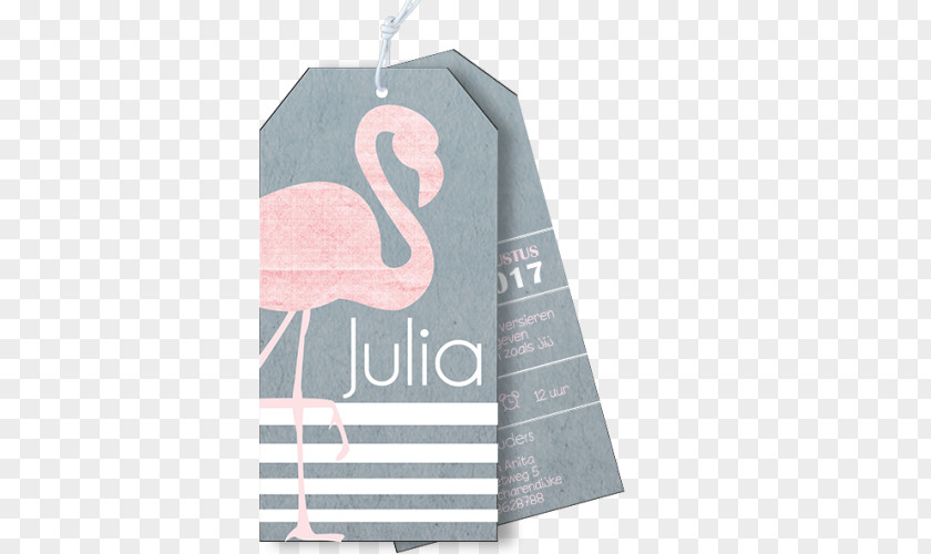 Flamingo Water Label Baby Announcement Infant Meneer Vogel White PNG