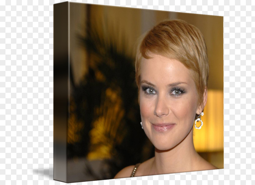 Hair Andrea Osvárt Blond Layered Coloring PNG