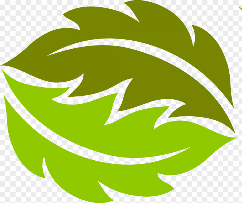 Leaf Plant Stem Logo Flower Green PNG