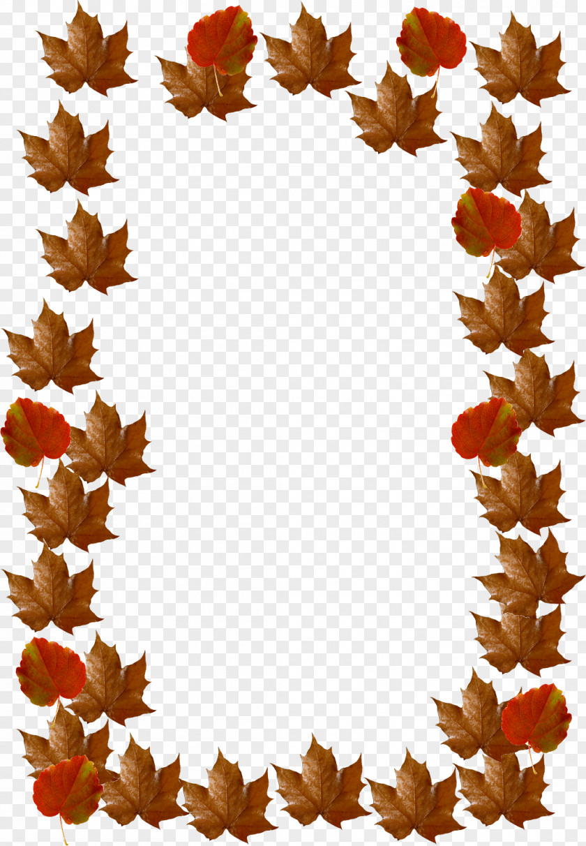 Maple Leaf PNG